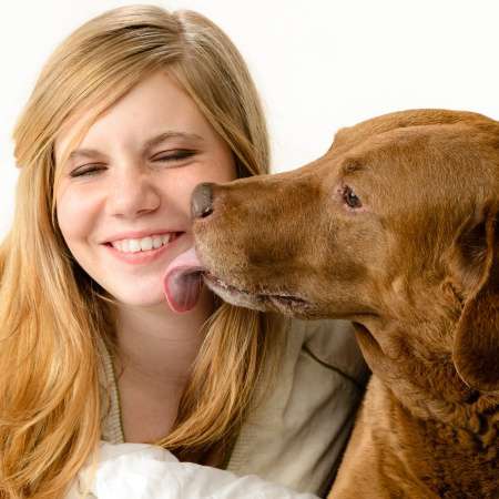 Dog licking girl in the face