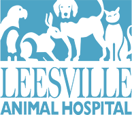 Animal Hospital in Raleigh | Leesville Animal Hospital